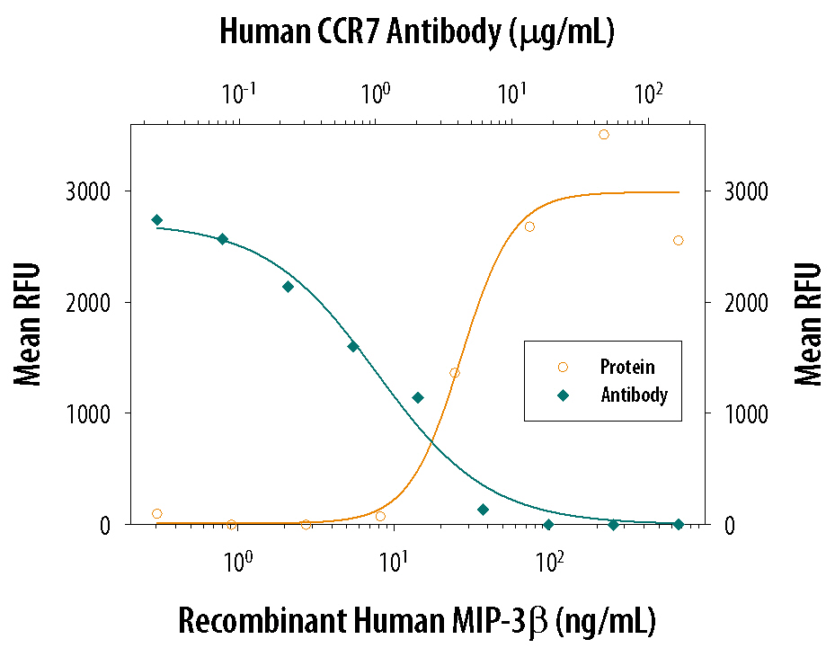 Chemotaxis Induced by CCL19/MIP‑3 beta  and Neutral-ization by Human CCR7 Antibody.