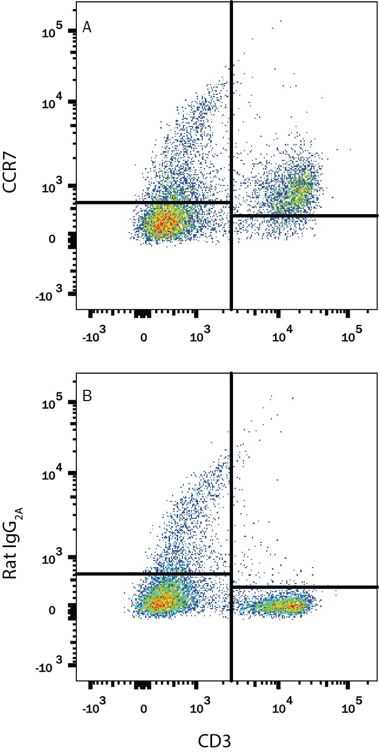 Detection of CCR7 antibody in Mouse Splenocytes antibody by Flow Cytometry.