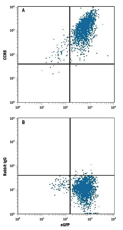 Detection of CCR8 antibody in HEK293 Human Cell Line Transfected with Mouse CCR8 and eGFP antibody by Flow Cytometry.