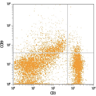 Detection of CCR9 antibody in Rat Splenocytes antibody by Flow Cytometry.