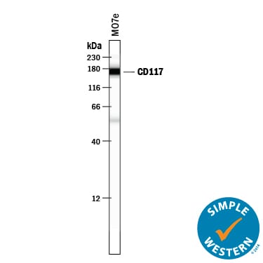 Detection of Human CD117/c-kit antibody by Simple WesternTM.