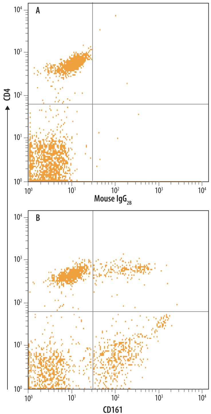 Detection of Human CD161 antibody in Human Lymphocytes