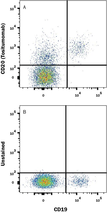 Detection of CD20 (Tositumomab) antibody in Human PBMCs antibody by Flow Cytometry.