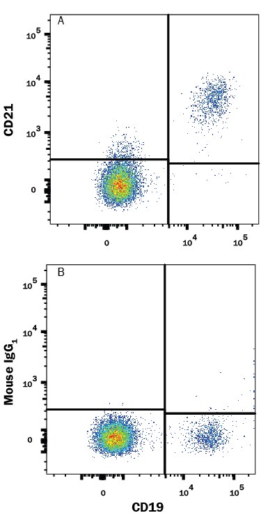 Detection of CD21 antibody in Human PBMCs antibody by Flow Cytometry.