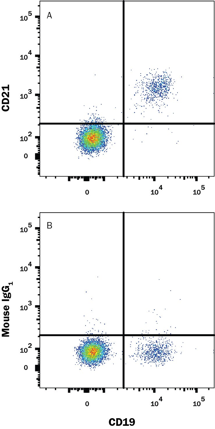 Detection of CD21 antibody in Human PBMCs antibody by Flow Cytometry.