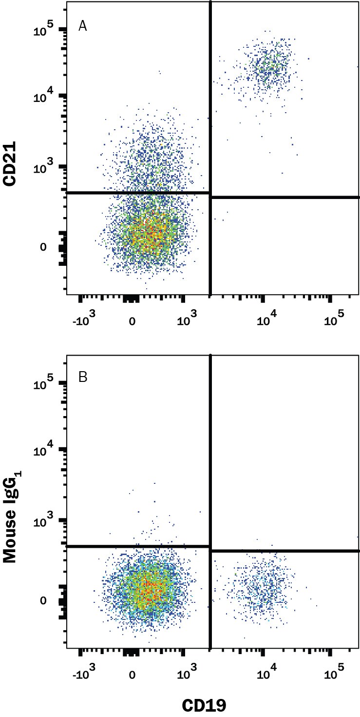 Detection of CD21 antibody in Human PBMCs antibody by Flow Cytometry.