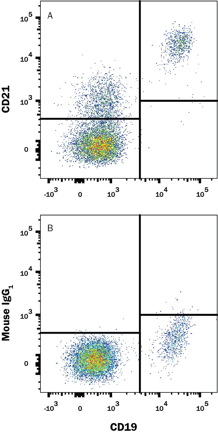 Detection of CD21 antibody in Human PBMCs antibody by Flow Cytometry.