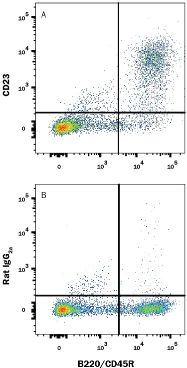 Detection of CD23/Fce RII antibody in Mouse Splenocytes antibody by Flow Cytometry.