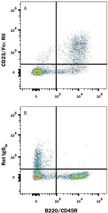 Detection of CD23/Fce RII antibody in Mouse Splenocytes antibody by Flow Cytometry.