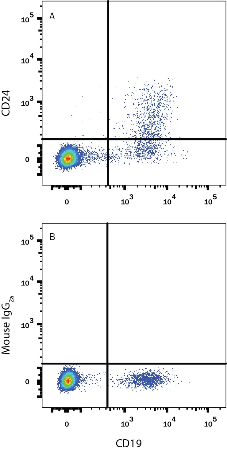 Detection of CD24 antibody in Human Blood Lymphocytes antibody by Flow Cytometry.