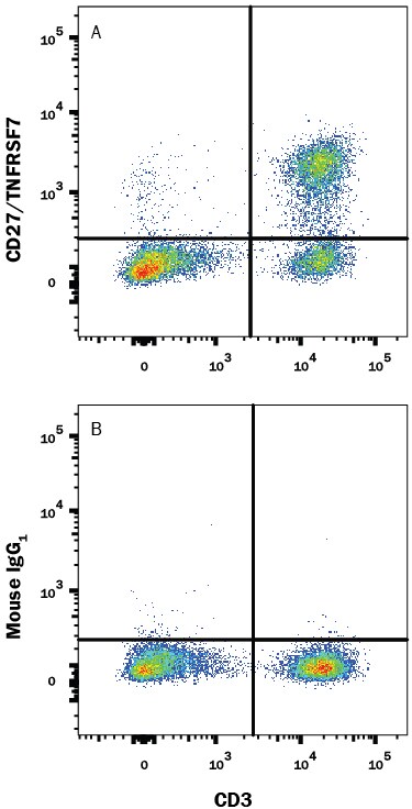 Detection of CD27/TNFRSF7 antibody in Human PBMCs antibody by Flow Cytometry.