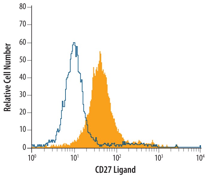 Detection of CD27 Ligand/TNFSF7 antibody in Raji Human Cell Line antibody by Flow Cytometry.