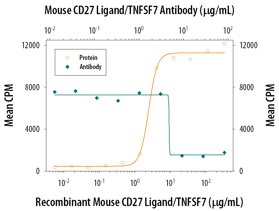 Cell Proliferation Induced by CD27 Ligand/TNFSF7 and Neutralization by Mouse CD27 Ligand/TNFSF7 Anti-body.
