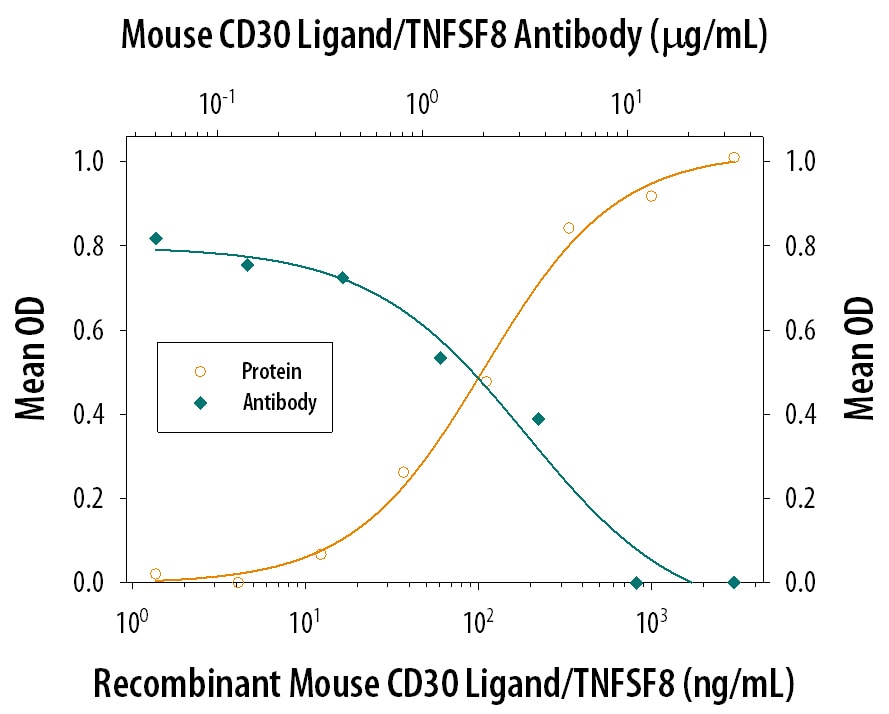 IL‑6 Secretion Induced by CD30 Ligand/TNFSF8 and Neutralization by Mouse CD30 Ligand/TNFSF8 Antibody.