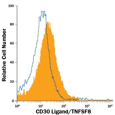 Detection of CD30 Ligand/TNFSF8 antibody in Mouse Splenocytes Activated with Concavalin A antibody by Flow Cytometry.