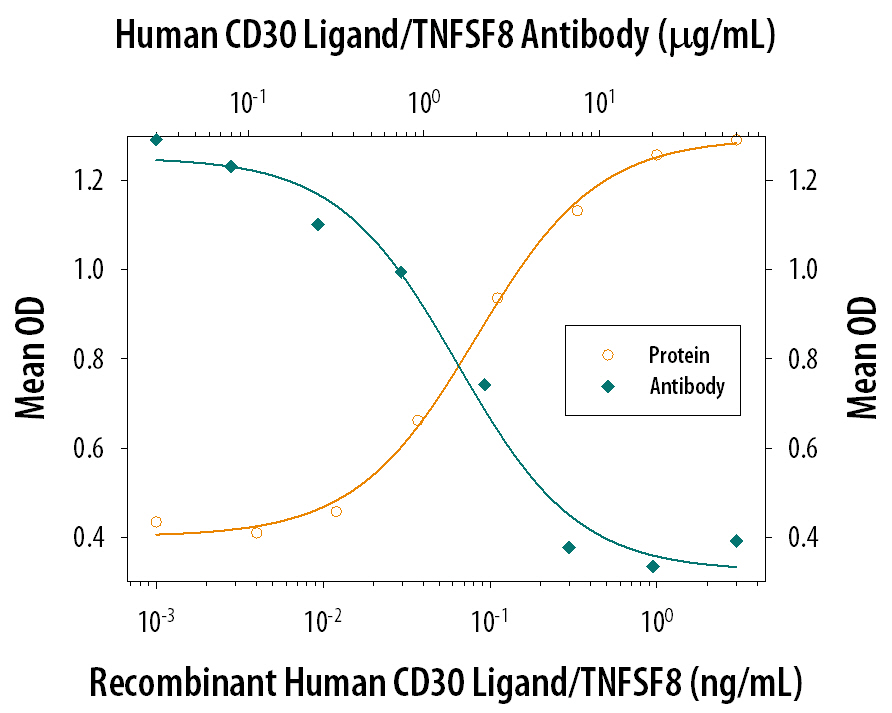 IL‑6 Secretion Induced by CD30 Ligand/TNFSF8 and Neutralization by Human CD30 Ligand/TNFSF8 Antibody.