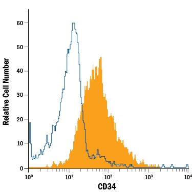Detection of CD34 antibody in KG-1 Human Cell Line antibody by Flow Cytometry.