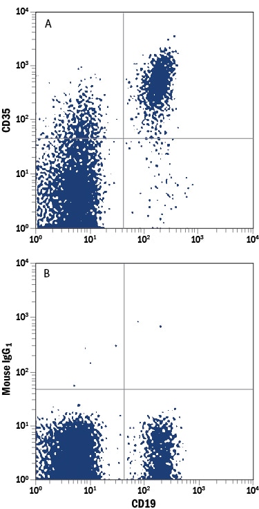 Detection of CD35 antibody in Human Blood Lymphocytes antibody by Flow Cytometry.