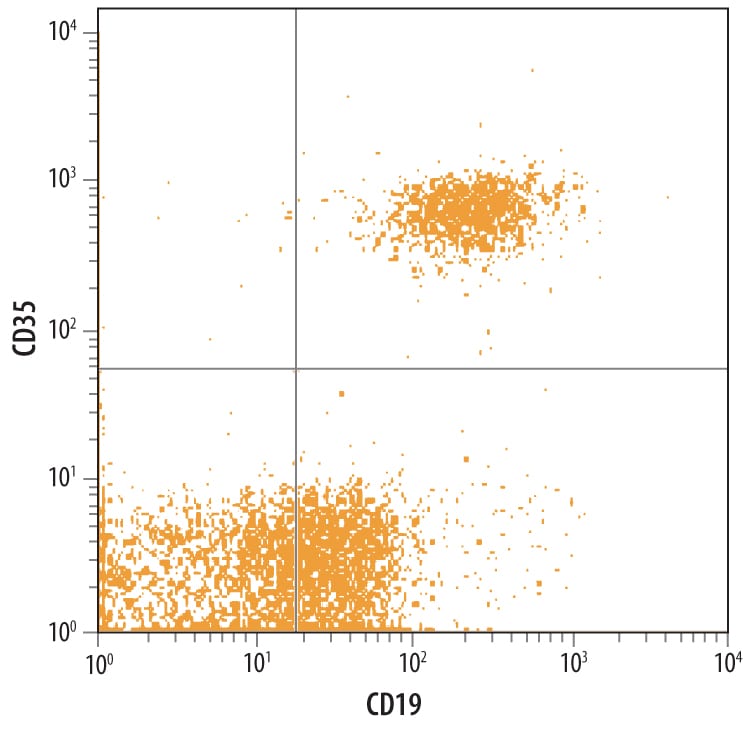 Detection of CD35 antibody in Human PBMCs antibody by Flow Cytometry.