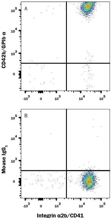 Detection of CD42b/GPIb a antibody in Human CD41+Platelets antibody by Flow Cytometry.