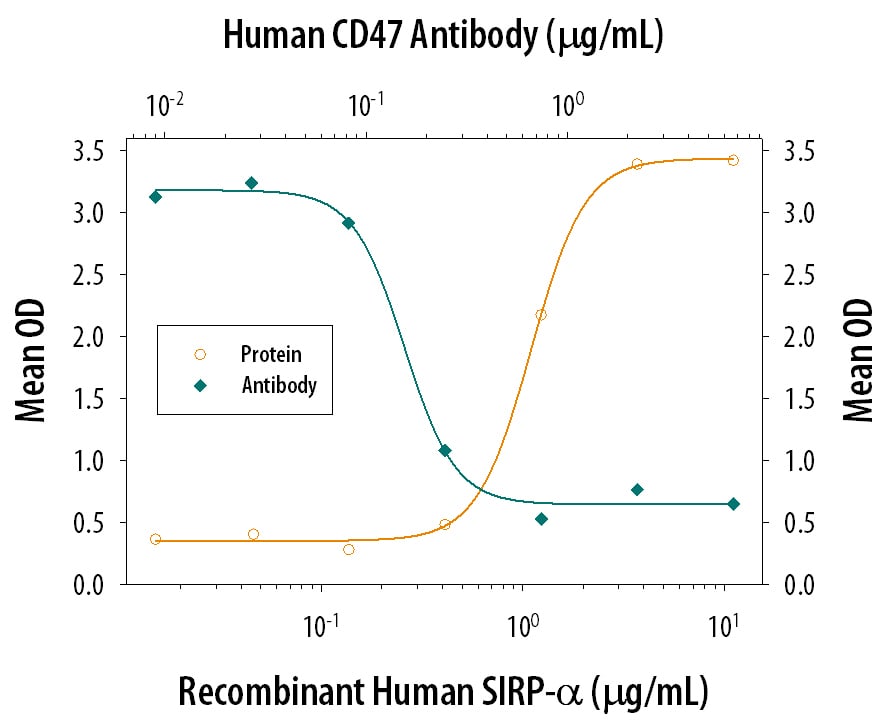 Cell Adhesion Mediated by SIRP alpha /CD172a and Neutral-ization by Human CD47 Antibody.