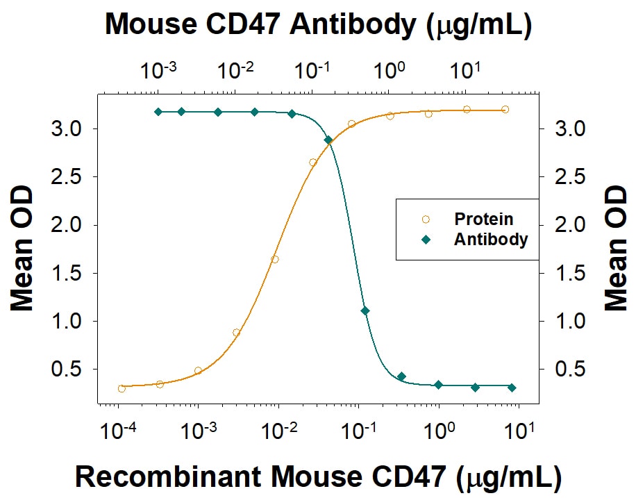 CD47 Binding to SIRP  alpha /CD172a Blocked By Mouse CD47 Antibody.