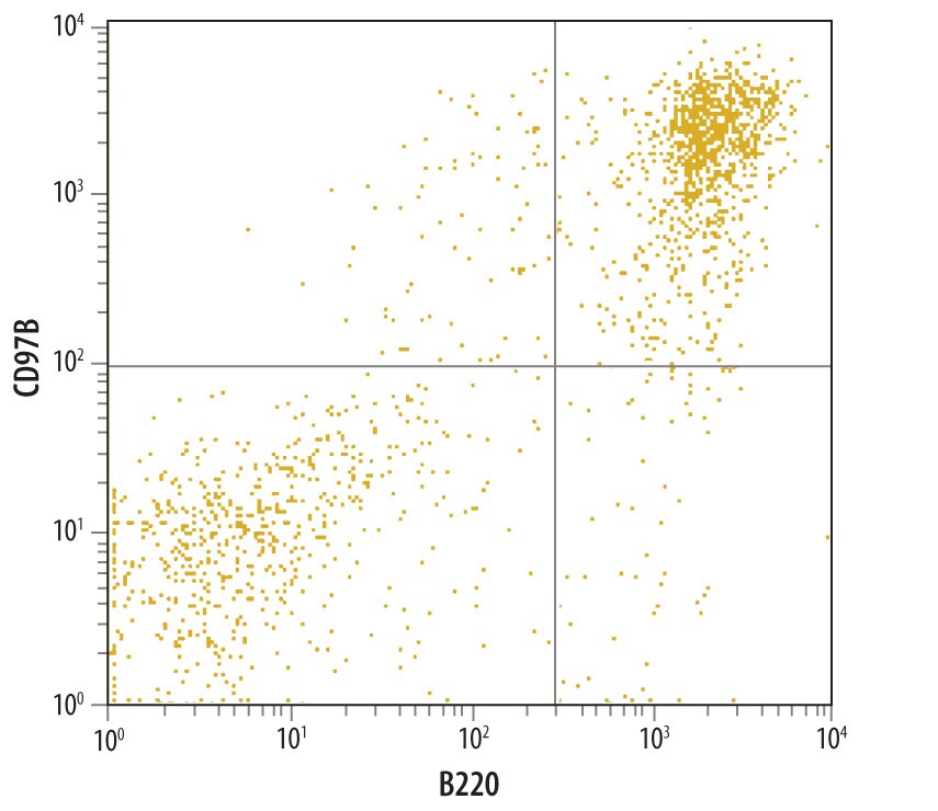 Detection of CD79B antibody in Mouse Splenocytes antibody by Flow Cytometry.