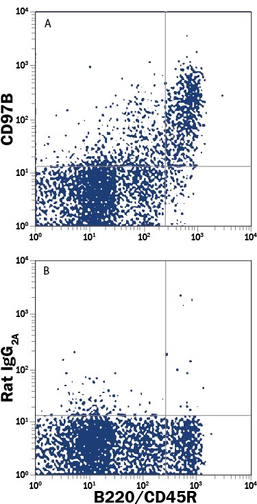 Detection of CD79B antibody in Mouse Bone Marrow Cells antibody by Flow Cytometry.