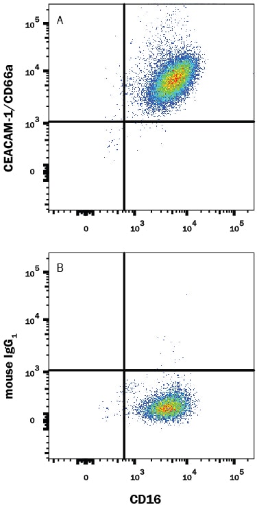 Detection of CEACAM‑1/CD66a antibody in Human Blood Granulocytes antibody by Flow Cytometry.
