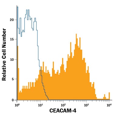 Detection of CEACAM-4 antibody in THP-1 Human Cell Line antibody by Flow Cytometry.