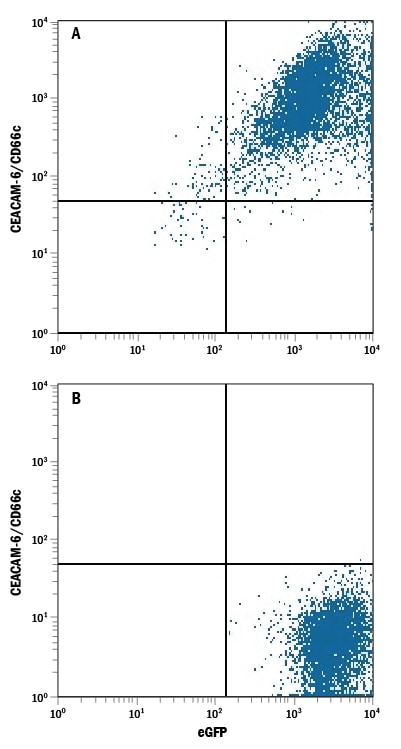 Detection of CEACAM‑6/CD66c antibody in HEK293 Human Cell Line Transfected with Human CEACAM-6/CD66c and eGFP antibody by Flow Cytometry.