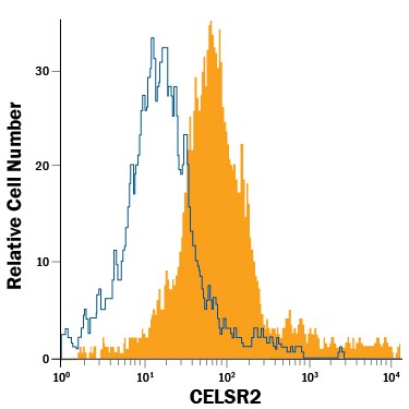 Detection of CELSR2 antibody in SH-SY5Y Human Cell Line antibody by Flow Cytometry.