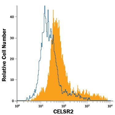 Detection of CELSR2 antibody in SH-SY5Y Human Cell Line antibody by Flow Cytometry.