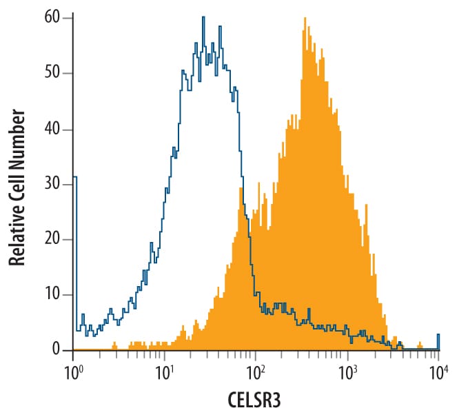 Detection of CELSR3 antibody in SH-SY5Y Human Cell Line antibody by Flow Cytometry.