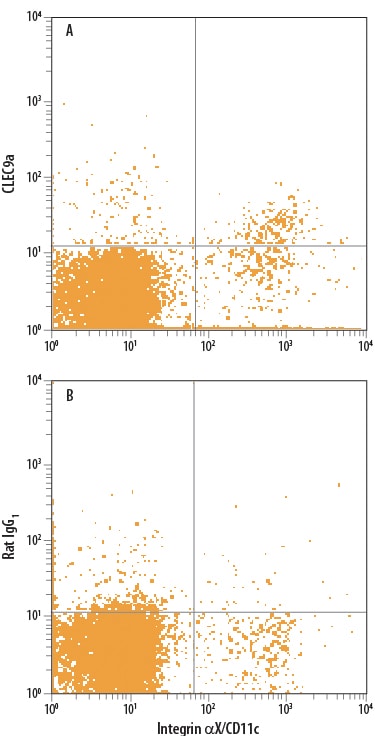 Detection of CLEC9a antibody in Mouse Splenocytes antibody by Flow Cytometry.