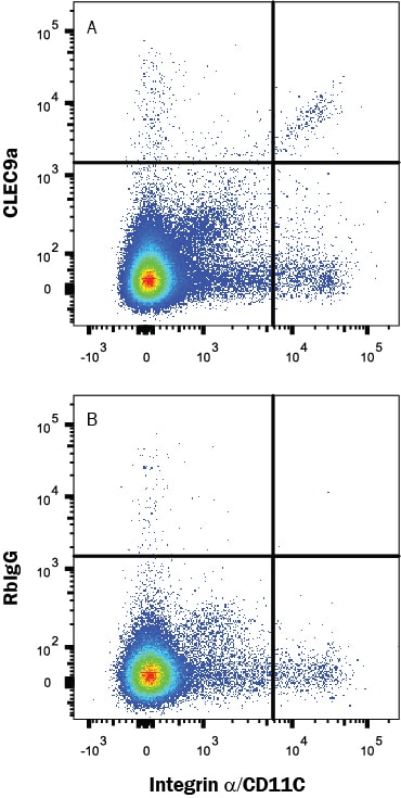 Detection of CLEC9a antibody in Mouse Splenocytes antibody by Flow Cytometry.