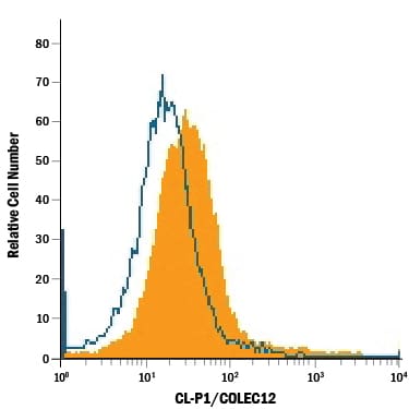 Detection of CL-P1/COLEC12 antibody in HUVEC Human Cells antibody by Flow Cytometry.