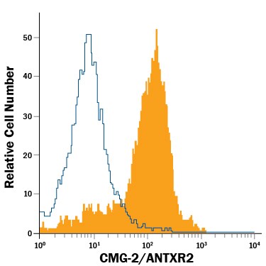 Detection of CMG-2/ANTXR2 antibody in Human Whole Blood Monocytes antibody by Flow Cytometry.
