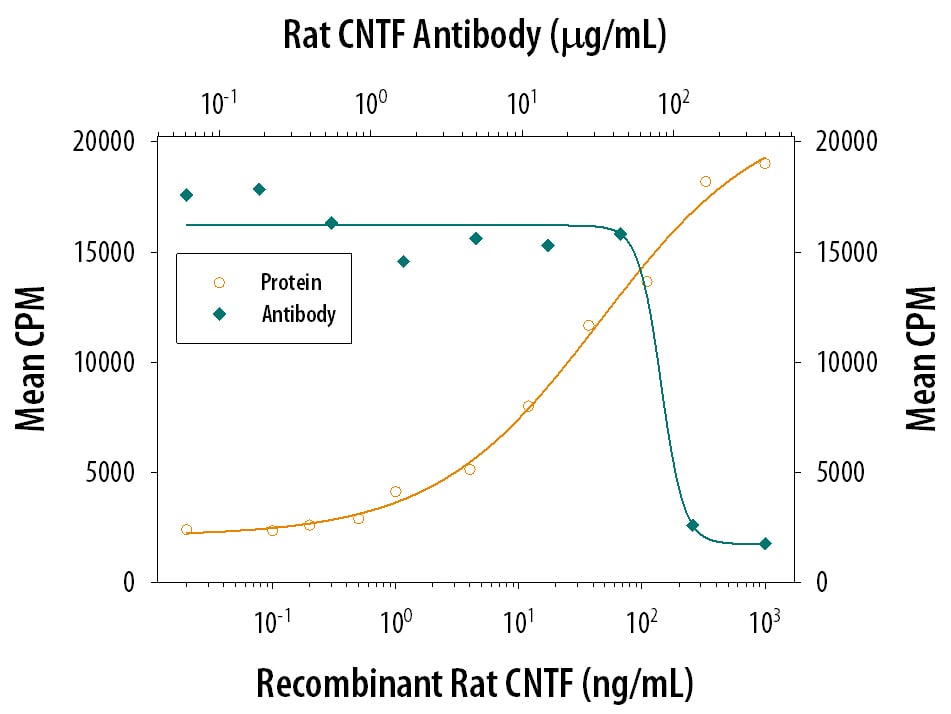 Neuron Survival antibody in Response to CNTF and Neutralization by Rat CNTF Antibody.