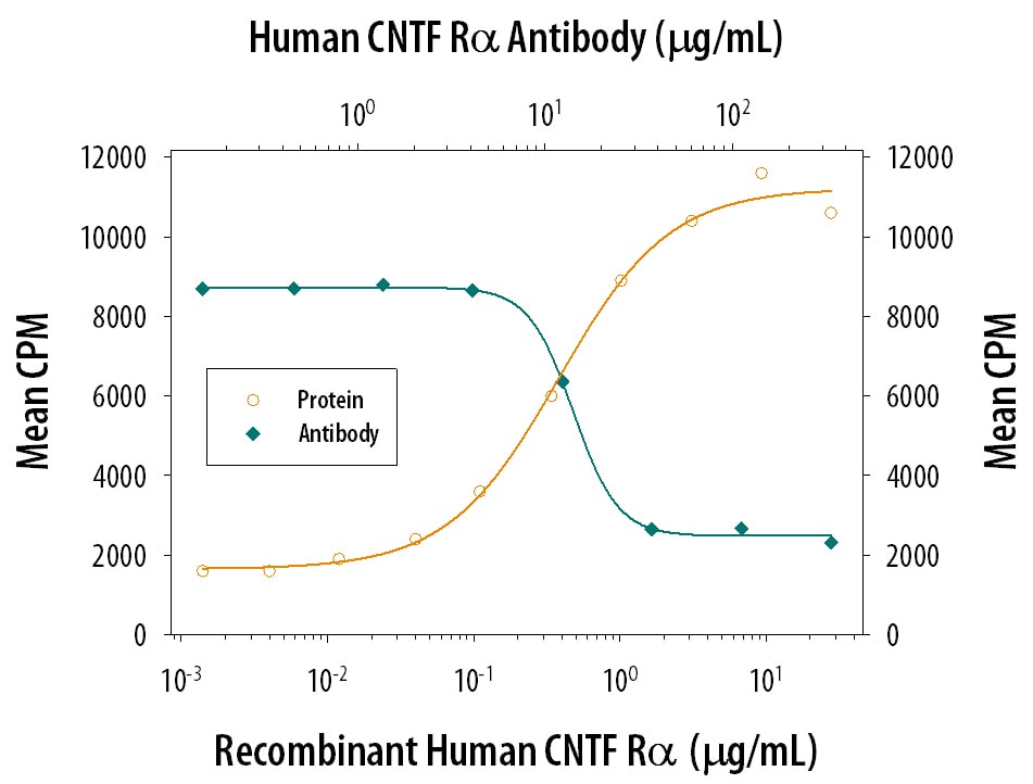 CNTF R alpha  Enhancement of CNTF-dependent Cell Proliferation and Neutral-ization by Human CNTF R alpha  Antibody.