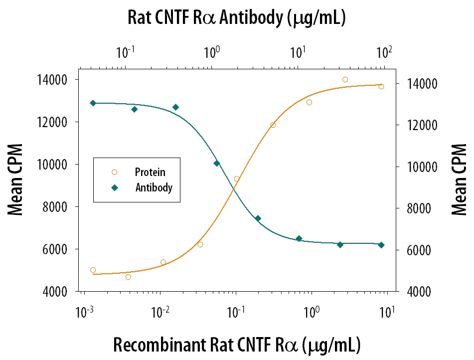 CNTF R alpha  Enhancement of CNTF-dependent Cell Proliferation and Neutralization by Rat CNTF R alpha  Antibody.