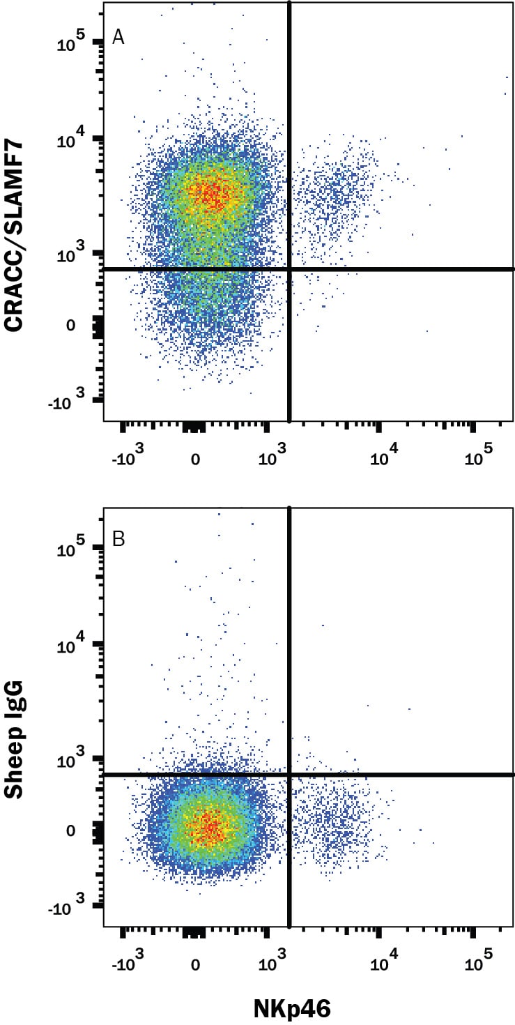 Detection of CRACC/SLAMF7 antibody in Mouse Splenocytes antibody by Flow Cytometry.