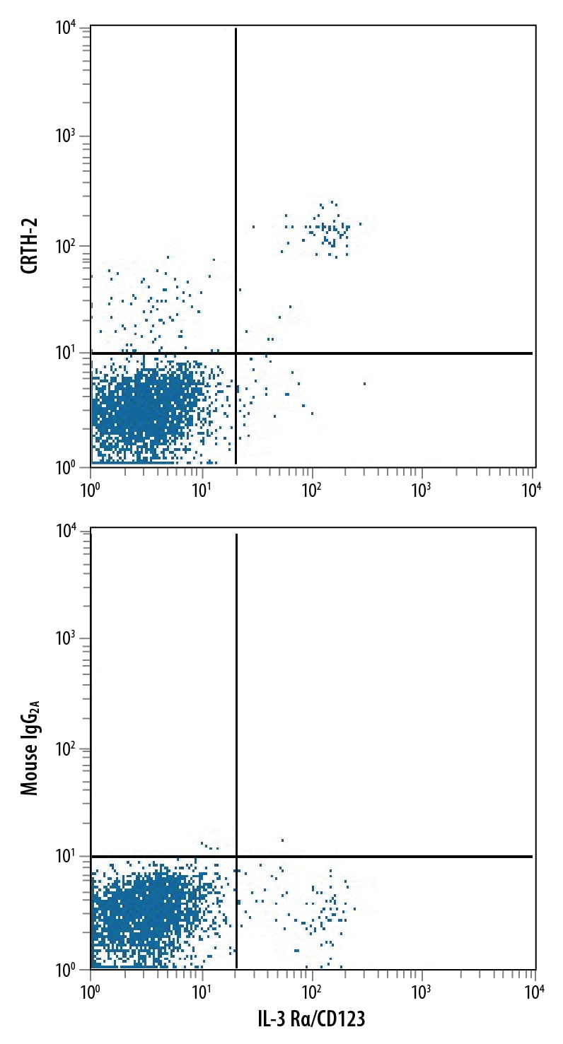 Detection of CRTH-2 antibody in Human Blood Lymphocytes antibody by Flow Cytometry.