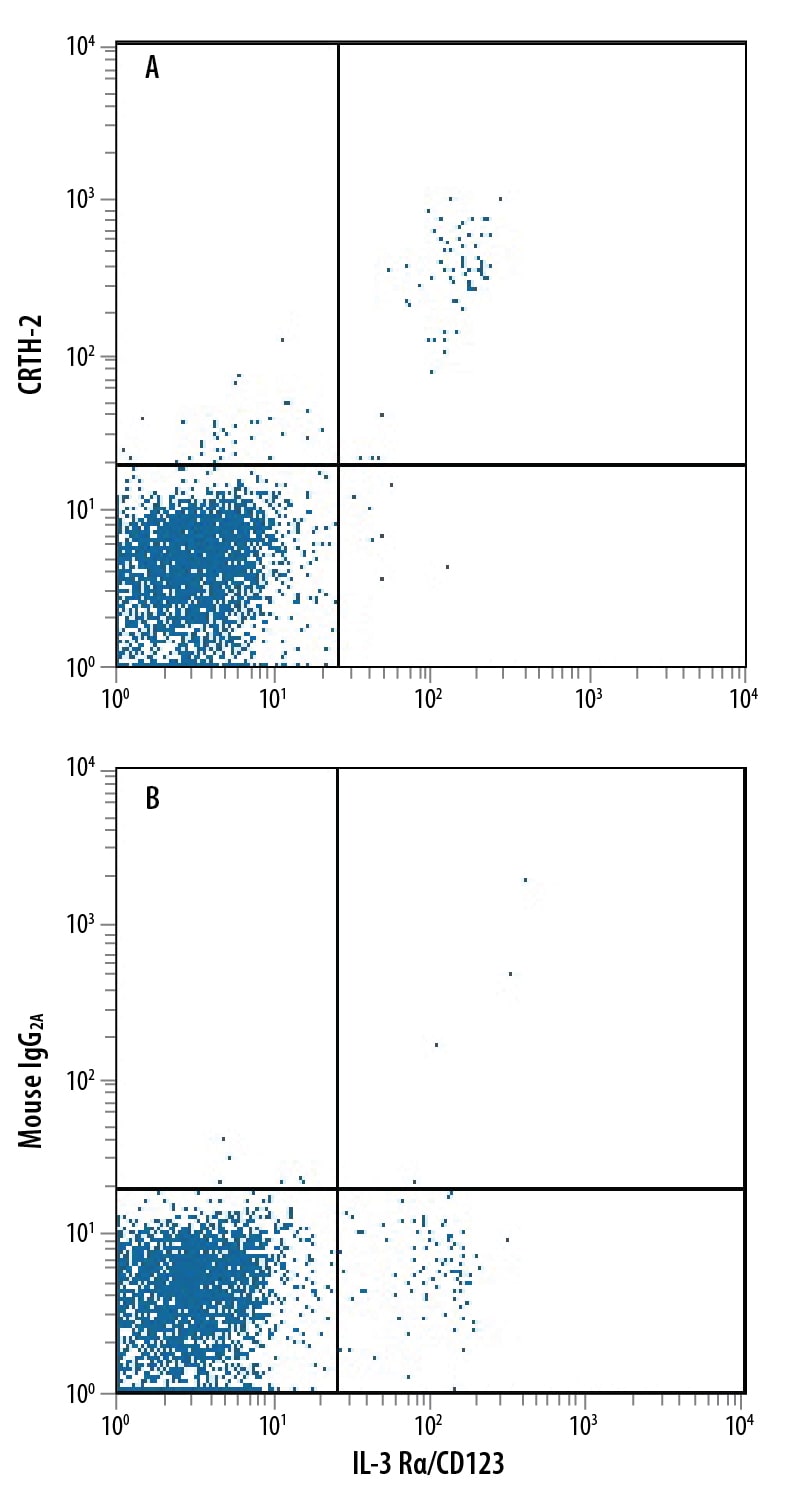 Detection of CRTH-2 antibody in Human Blood Lymphocytes antibody by Flow Cytometry.
