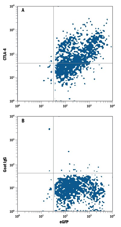 Detection of CTLA‑4 antibody in NS0 Mouse Cell Line Transfected with Human CTLA-4 and eGFP antibody by Flow Cytometry.