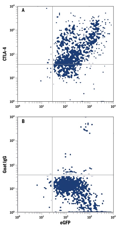 Detection of CTLA-4 antibody in NS0 Mouse Cell Line Transfected with Human CTLA-4 and eGFP antibody by Flow Cytometry.