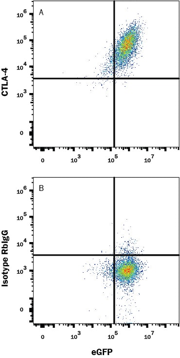 Detection of CTLA-4 antibody in NS0 Mouse Cell Line Transfected with Human CTLA-4 and eGFP antibody by Flow Cytometry.