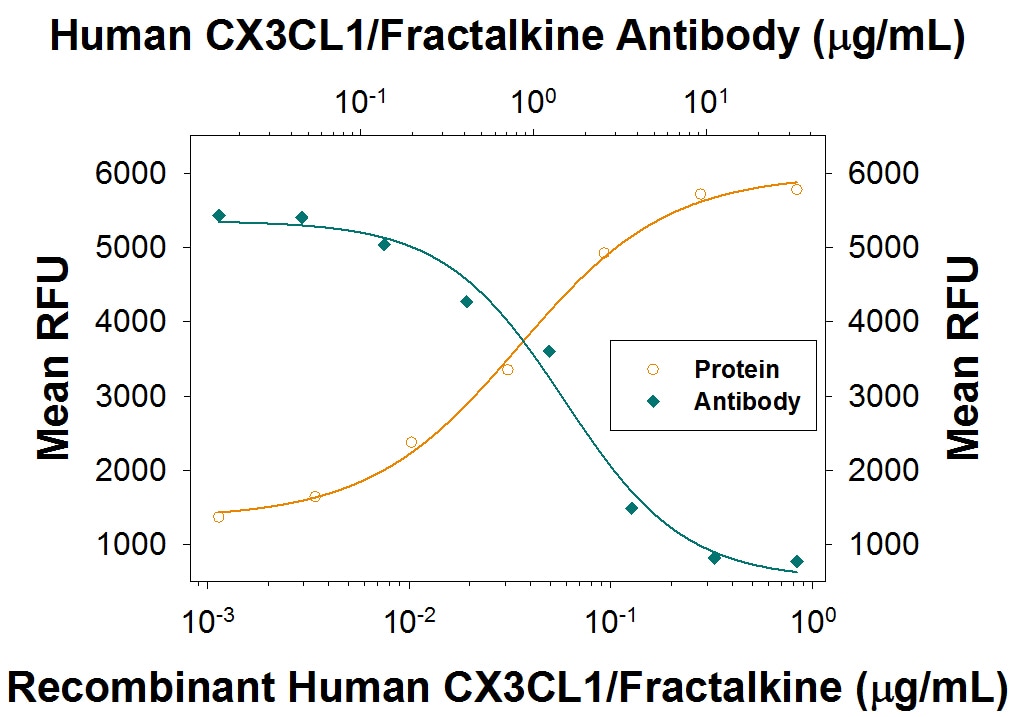 Chemotaxis Induced by CX3CL1/Fractalkine and Neutralization by Human CX3CL1/Fractalkine Antibody.