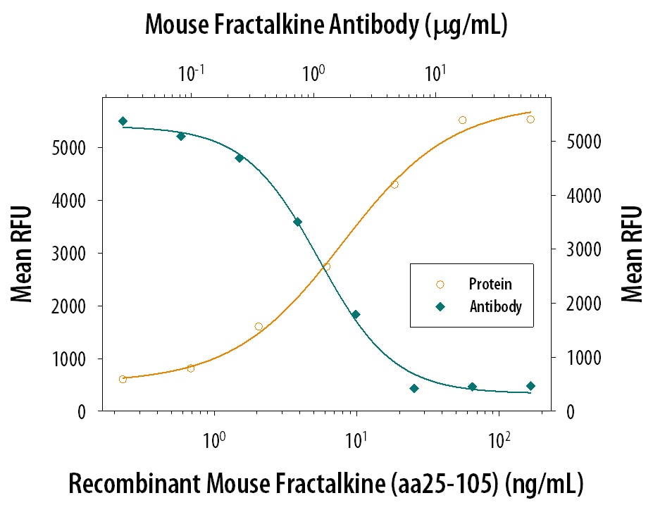 Chemotaxis Induced by CX3CL1/Fractalkine and Neutralization by Mouse CX3CL1/Fractalkine Antibody.