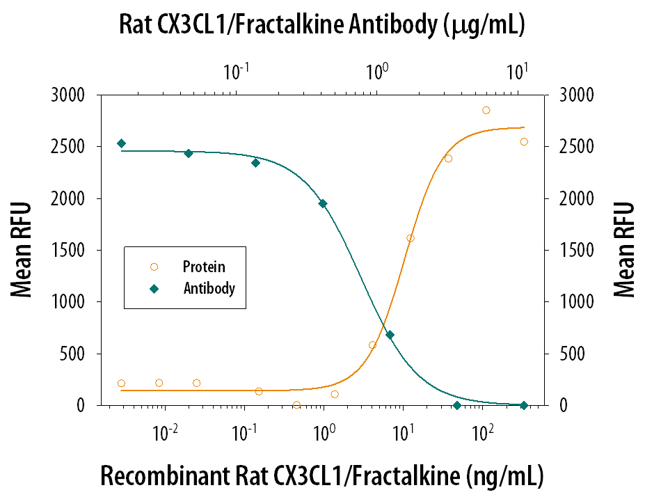 Chemotaxis Induced by CX3CL1/Fractalkine and Neutralization by Rat CX3CL1/Fractalkine Antibody.